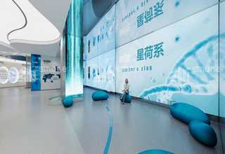 灞桥区品质财务共享经理怎么样