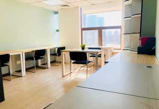 湘西推荐猫粮零食营养品近期价格