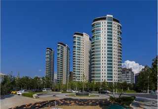 贵州口味醇厚汉武大帝酱香白酒价格