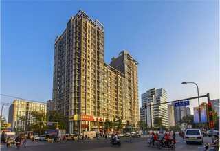 西藏品质电动铲车联系方式